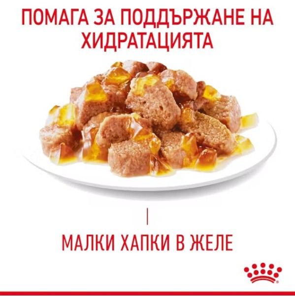 Royal Canin Hairball Care In Jelly - Малки хапки в желе за котки, склонни към образуване на космени топки